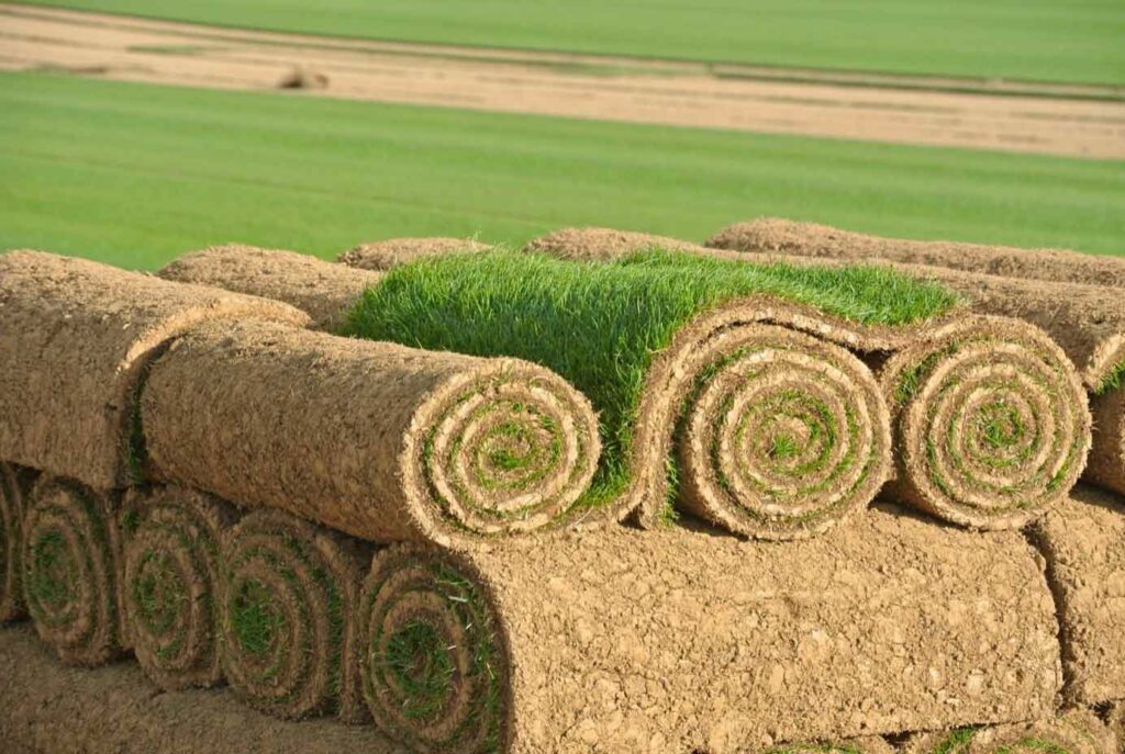 Gazon en rouleau (m2) Gazon en rouleau France Van de Sluis